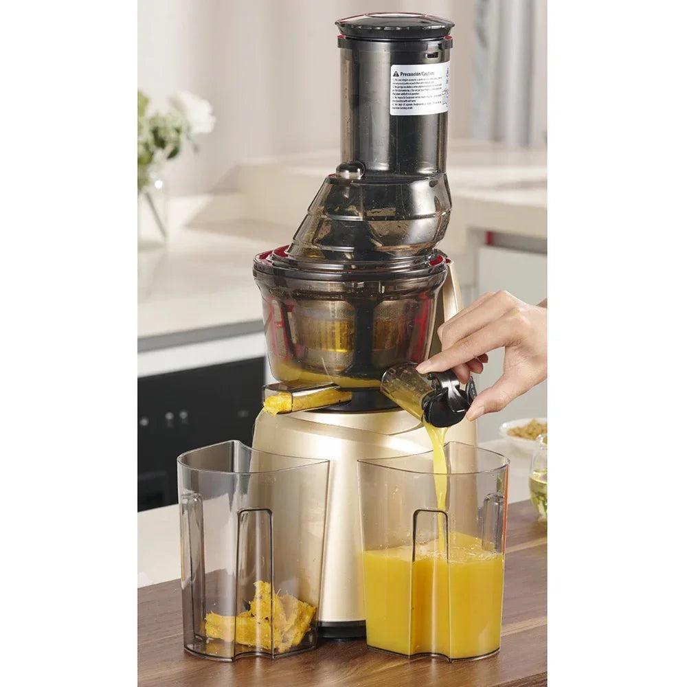 SipnBlend™ Pro Slow Juicer – Large Feed & Pure Extraction