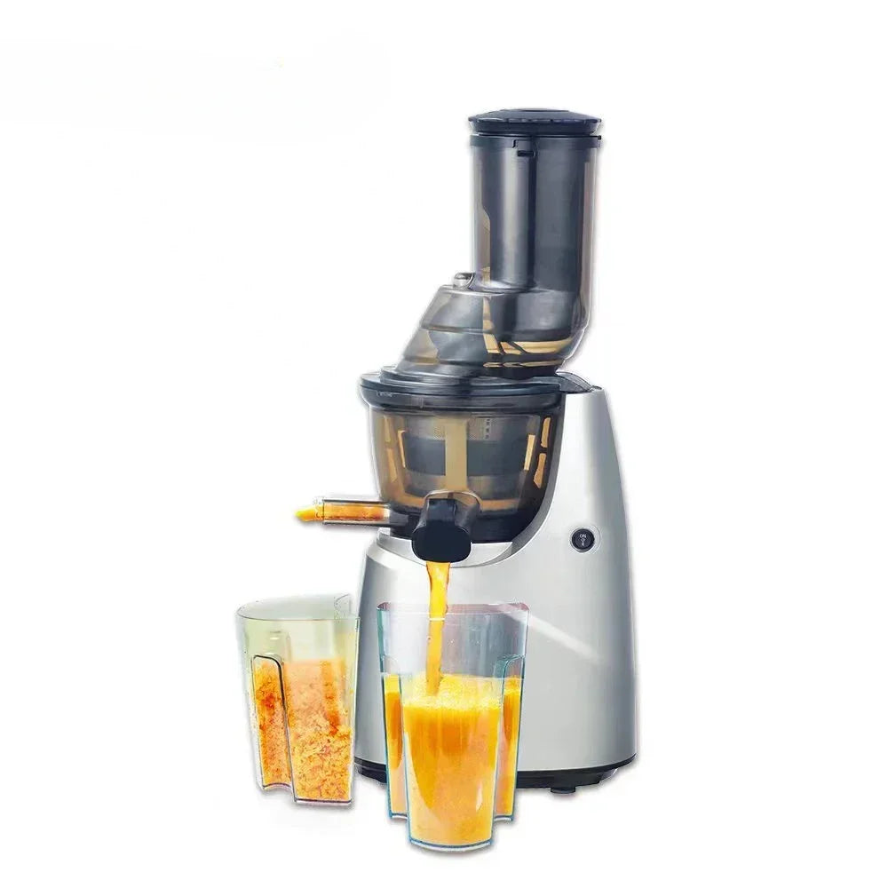 SipnBlend™ Pro Slow Juicer – Large Feed & Pure Extraction