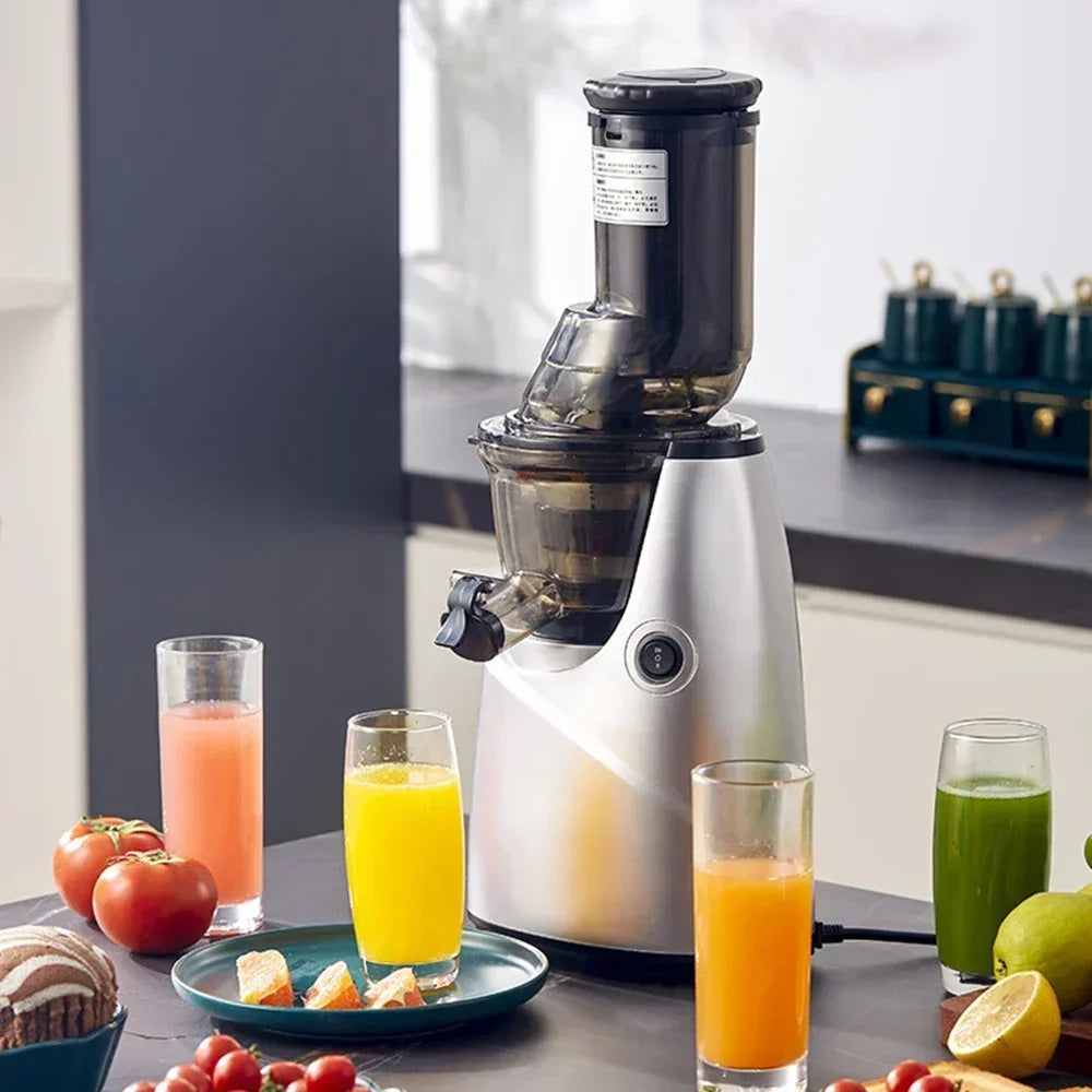 SipnBlend™ Pro Slow Juicer – Large Feed & Pure Extraction