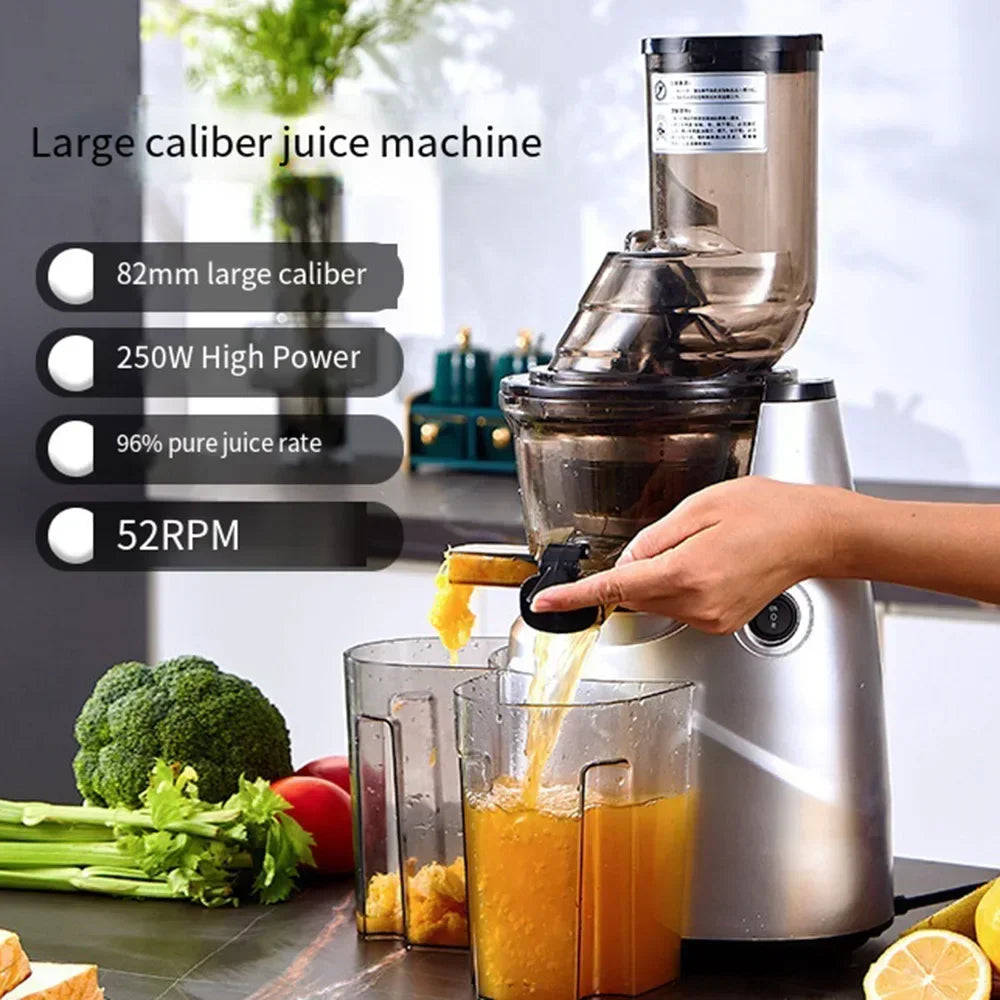 SipnBlend™ Pro Slow Juicer – Large Feed & Pure Extraction
