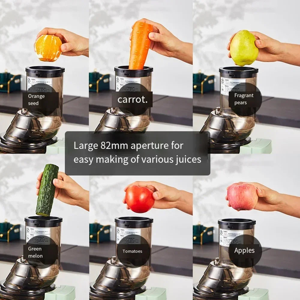 SipnBlend™ Pro Slow Juicer – Large Feed & Pure Extraction