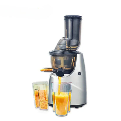 SipnBlend™ Pro Slow Juicer – Large Feed & Pure Extraction