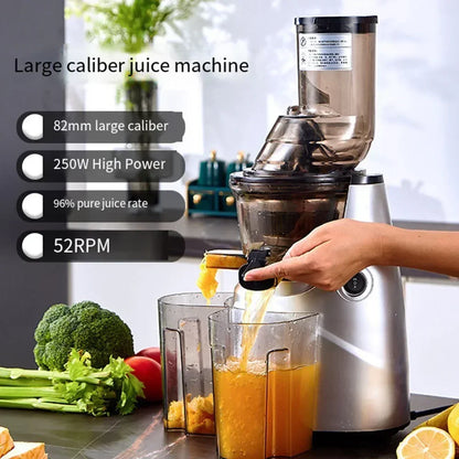 SipnBlend™ Pro Slow Juicer – Large Feed & Pure Extraction