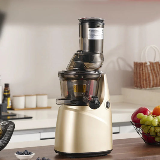 SipnBlend™ Pro Slow Juicer – Large Feed & Pure Extraction