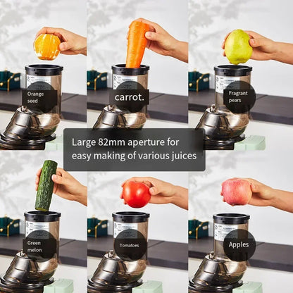 SipnBlend™ Pro Slow Juicer – Large Feed & Pure Extraction